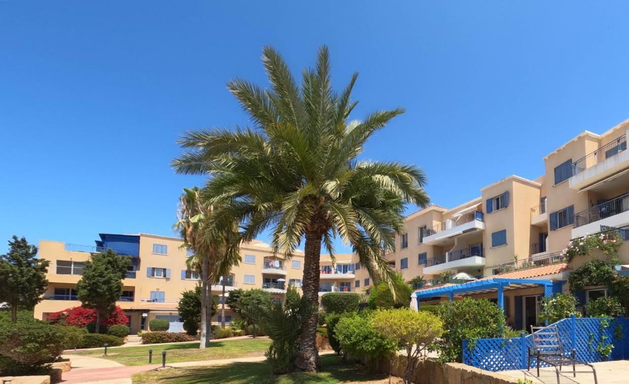 Timeless Cyprus Daire Pafos Dış mekan fotoğraf